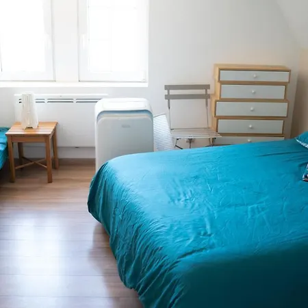 Lägenhet Secret Mama With Mobile Aircon, Including A Free Parking Space At 200 Meters Colmar